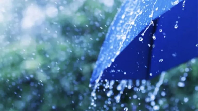 أمطار غزيرة على 14 ولاية - مجتمع  