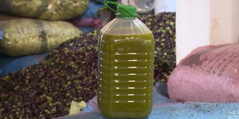 انخفاضات قياسية في أسعار زيت الزيتون بجهة طنجة