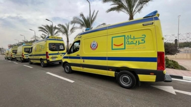 الصحة المصرية تحسم جدل تفشٍ غامضٍ للسرطان في قرية بالمنوفية    