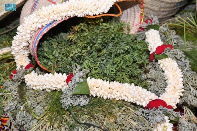 الرديمة.. عوائد تصل إلى 247 مليون ريال  