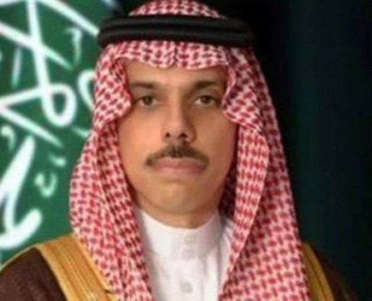 زيارة رسمية.. وزير الخارجية يبحث مع الرئيس السيسي ملفات المنطقة    